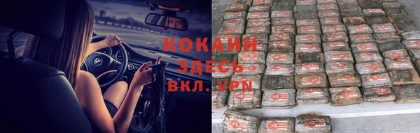мяу мяу мука Краснотурьинск