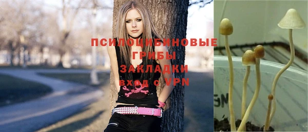 мяу мяу мука Краснотурьинск