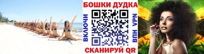 Купить Стрежевой Канабис планчик
